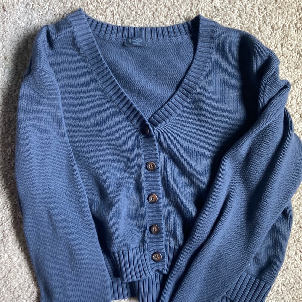 John Galt/Brandy Melville Billie Cardigan cropped blue sweater